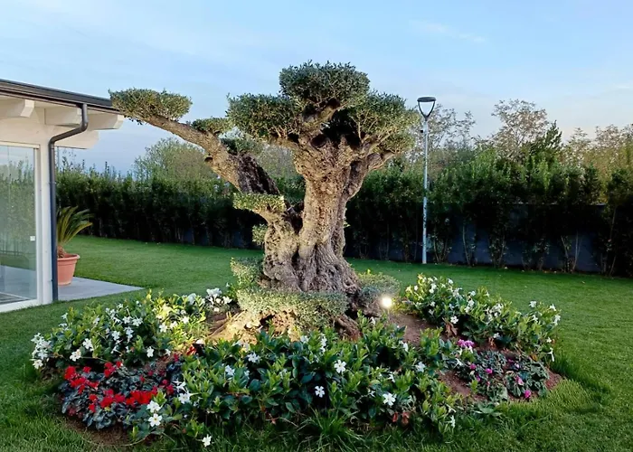 Hotel Ohana 4*